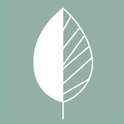 BOTANEA Guest House
