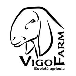 Azienda agricola Vigo Farm