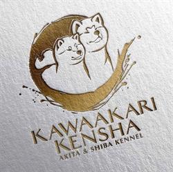 Kawaakari Kensha Allevamento Akita Inu e Shiba inu