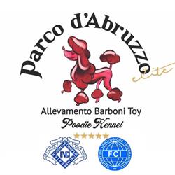 Parco d’Abruzzo ELITE Allevamento Barboni Toy