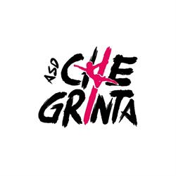 A.s.d. Che Grinta Pole Dance School