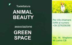Toelettatura"Animal Beauty" associazione"Green Space"