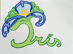 Associazione IRIS Onlus