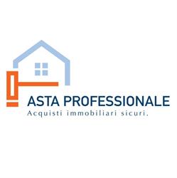 Asta Professionale