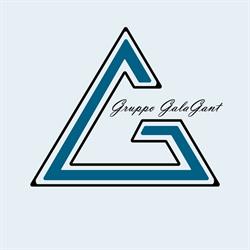 GRUPPO GALAGANT S.R.L.S.