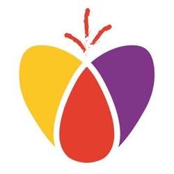 ANIMA ROSSA DI TRANFAGLIA LUDOVICA