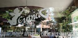 Bar New Cupido