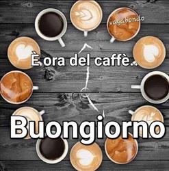 Venotra food e beverage
