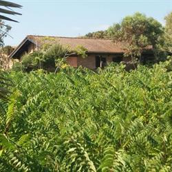 Casa Vacanze La Baita
