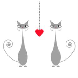 La Gatta Creazioni