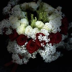 AMBRA FLOWER BOUTIQUE