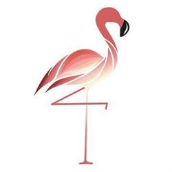 FLAMINGO - Pilates & Wellness