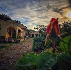 Ristorante-Pizzeria Sa Casara