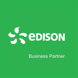 Punto Edison Business Partner