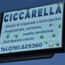 Ciccarella Srl