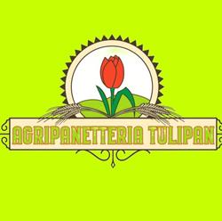 Agripanetteria Tulipan - Az. Agricola Montrucchio Elisa