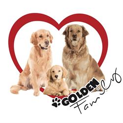 Golden Family