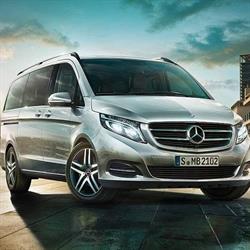Mark Limousine Tours