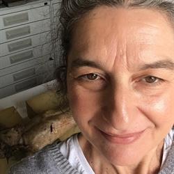 Opificio di Barbara Pettazzoni Laboratori di conservazione e restauro beni culturali