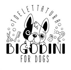 Bigodini for dogs