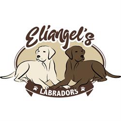 Eliangel's Labradors