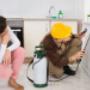 Gallery Professionale