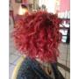Gallery Professionale