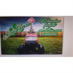 Mario Garden Giardinaggio