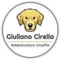 Nuova grafica!