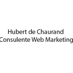 Hubert de Chaurand Consulente Web Marketing
