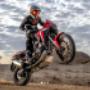 Gallery Professionale