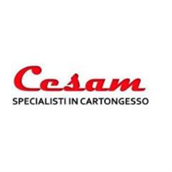 Cesam Specialisti in Cartongesso