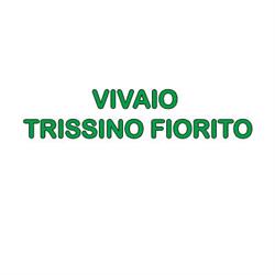Vivaio Trissino Fiorito