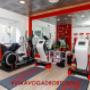 Gallery Cliente