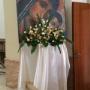 Gallery Professionale