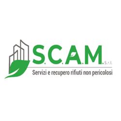 Scam