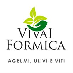 Formica Pietro Tindaro