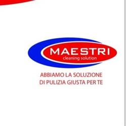 Maestri srl