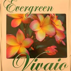 Vivaio Evergreen