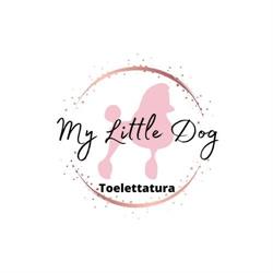 My little Dog