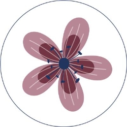 Robiuty -  Ecobio Shop