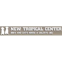 Dog'S And Cat'S House New Tropical Center