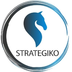Strategiko - Web Marketing by Luca Mascarello