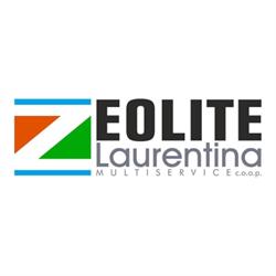 Zeolite Laurentina
