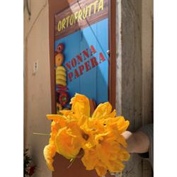 L'Orto di Nonna Papera
