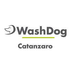 Wash Dog