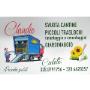 Gallery Cliente