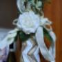Iannelli Flowers