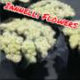 Iannelli Flowers