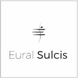 Eural Sulcis